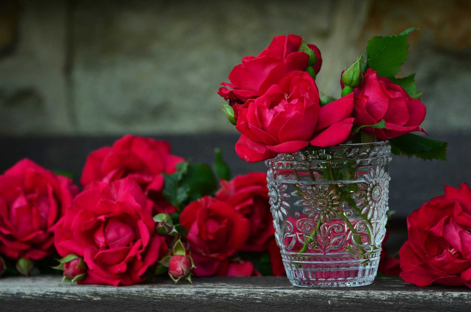 roses rouges