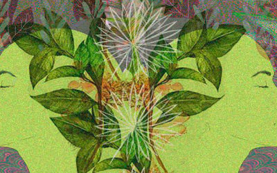 RELATION PLANTES-HUMAINS DANS LE CHAMANISME