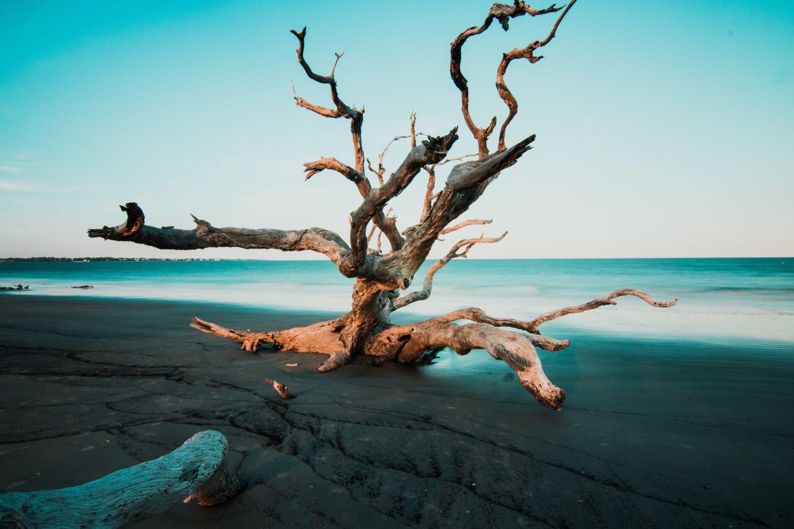spiritualité de la nature