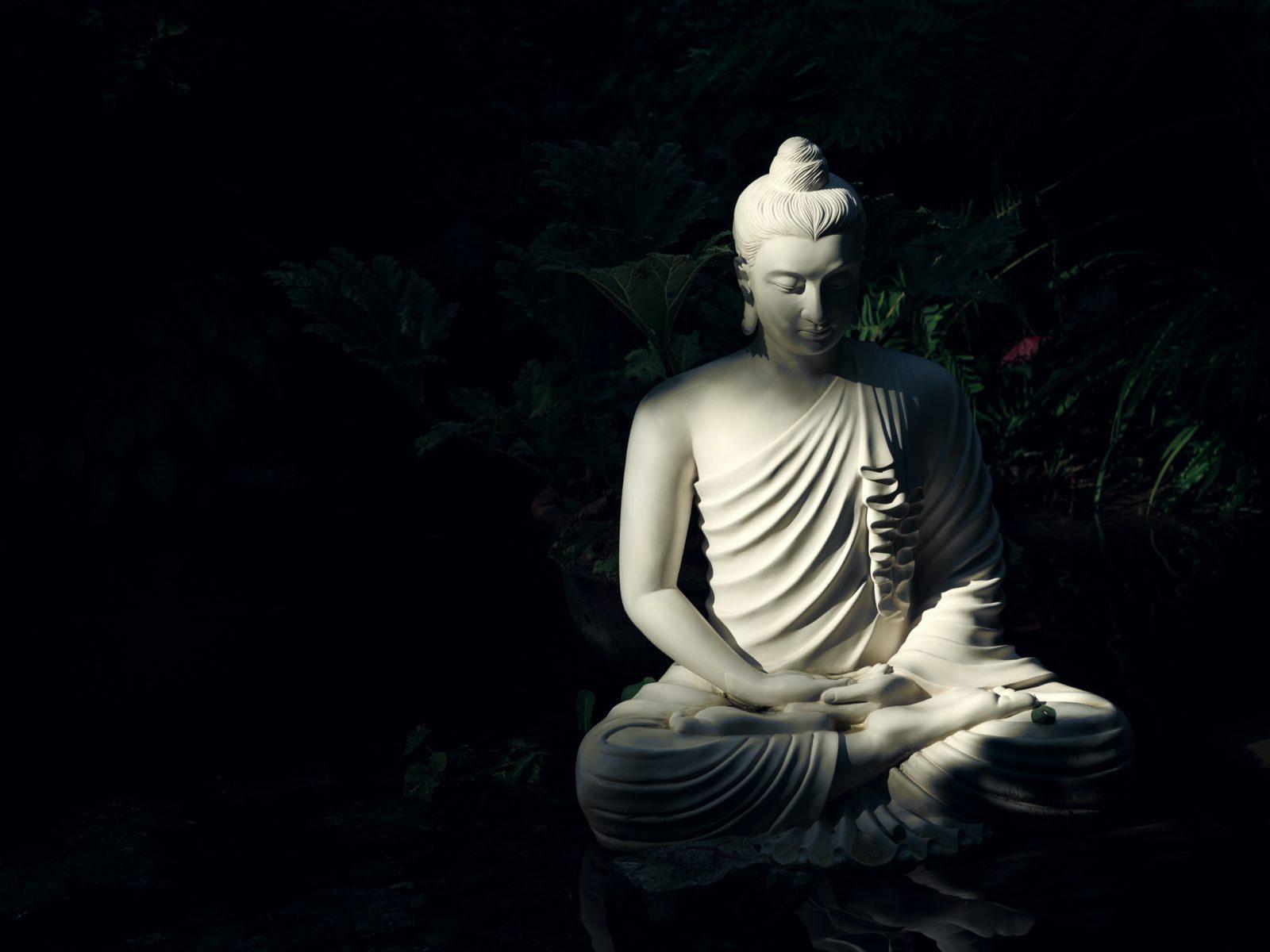 La Gratitude, la voie du coeur
