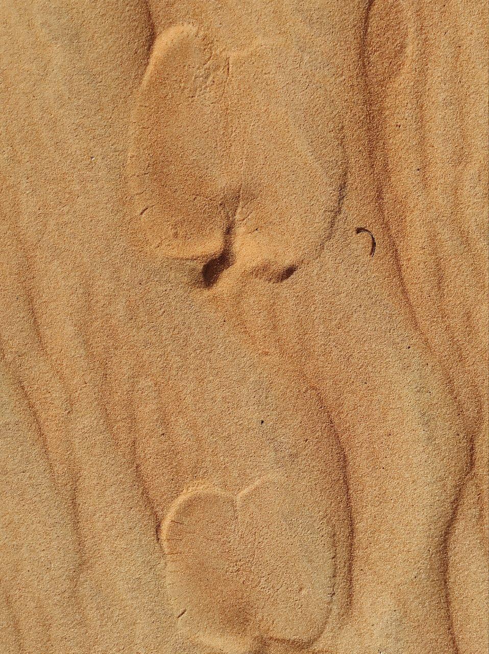 Marche consciente dans le désert