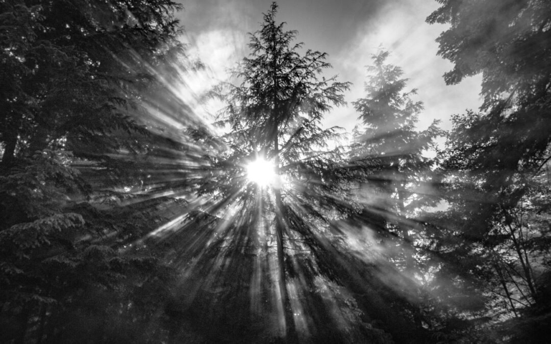 Source de lumière
